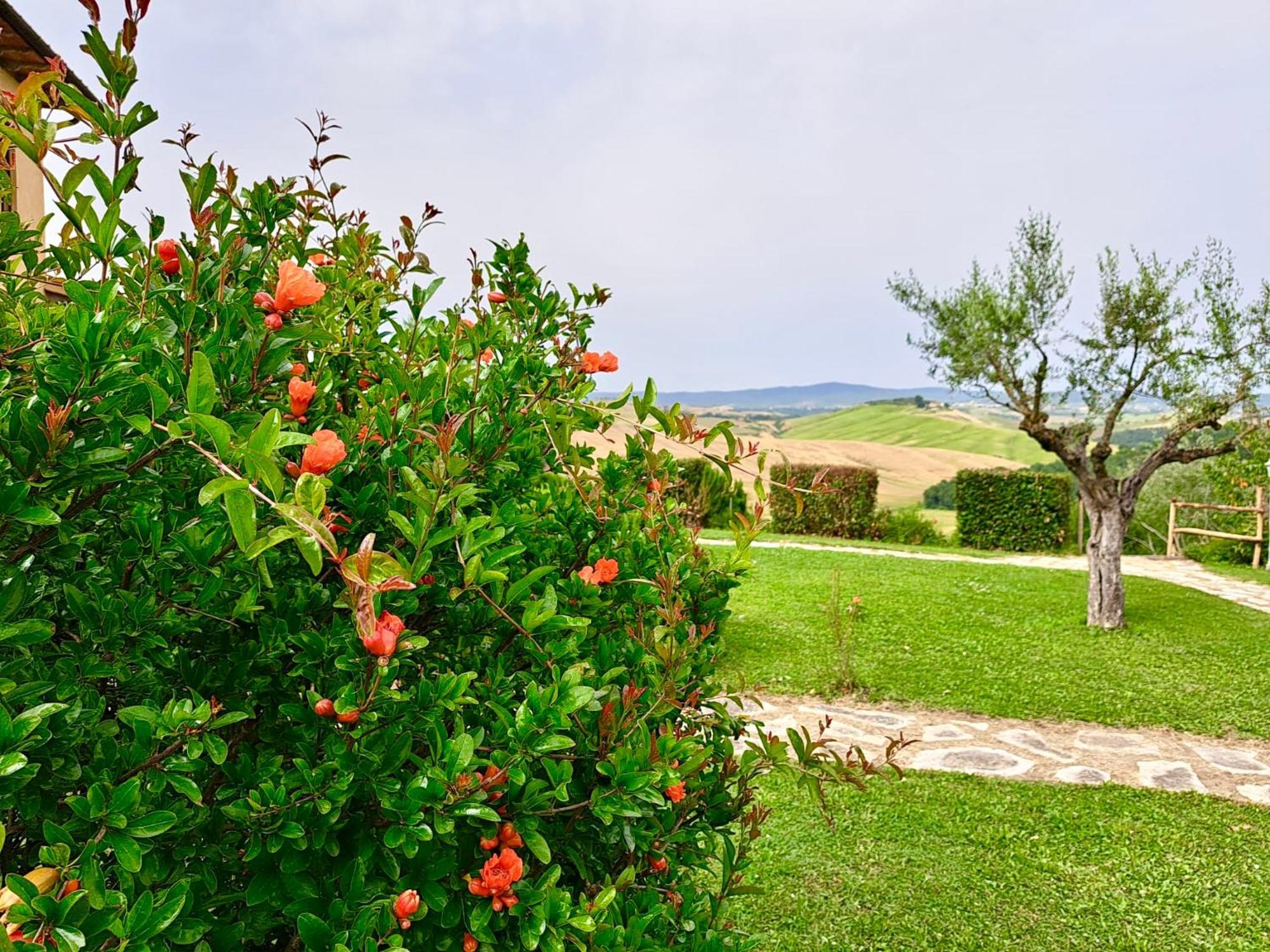 Agriturismo Caliano Ашано Екстериор снимка