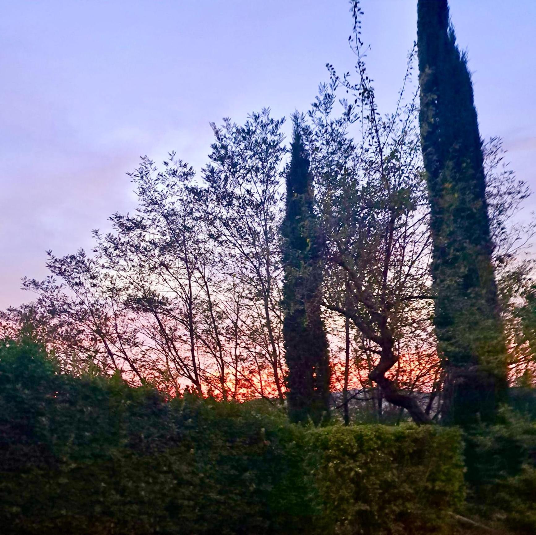 Agriturismo Caliano Ашано Екстериор снимка