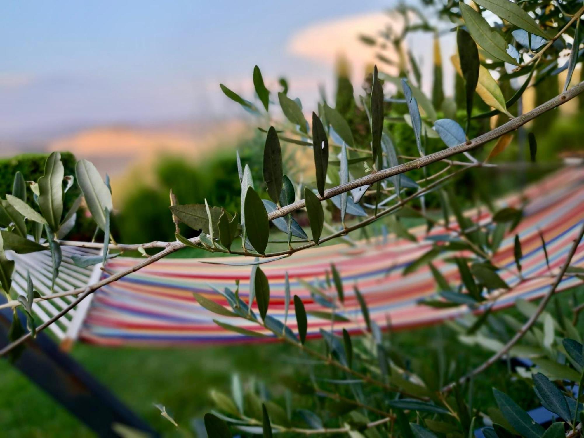 Agriturismo Caliano Ашано Екстериор снимка